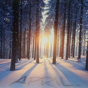 Meet your Posher, April